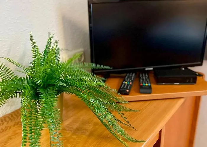 아파트 Bei Nuernberg, Gemuetliches Mit Kueche Bad Tv Schwanstetten